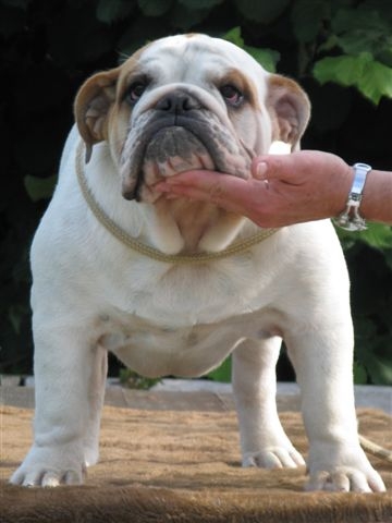 Eming Way of Richard Croze