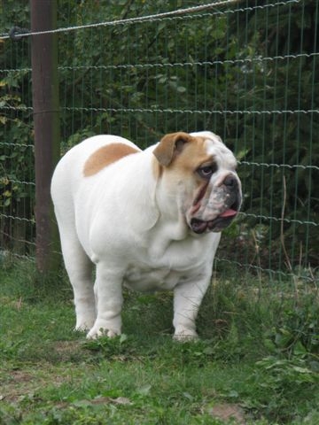 Eming Way of Richard Croze