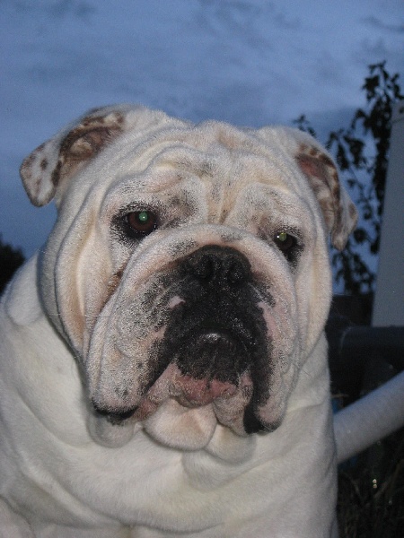 Einstein's génius of Richard Croze