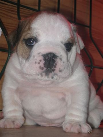 Eming Way of Richard Croze