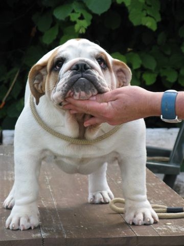 Eming Way of Richard Croze