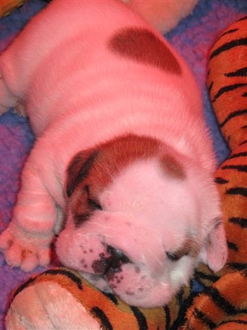 Eming Way of Richard Croze