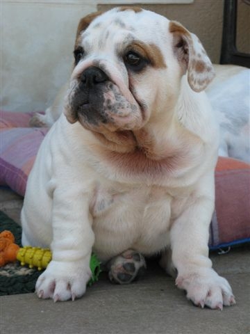 Eming Way of Richard Croze