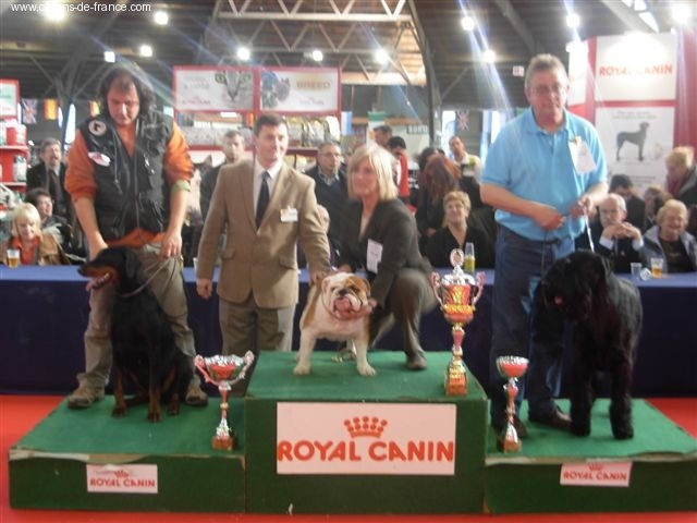 Bad Boy du corset noir - MEILLEUR GROUPE 2