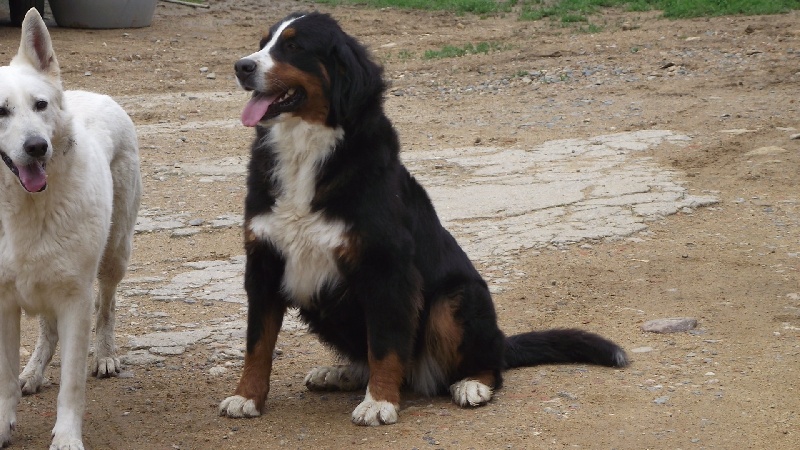 Publication : De la paix retrouvee