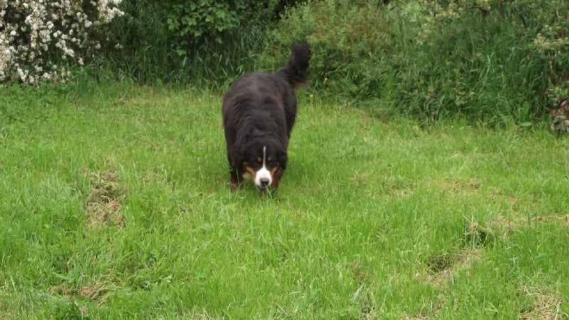 Publication : De la paix retrouvee