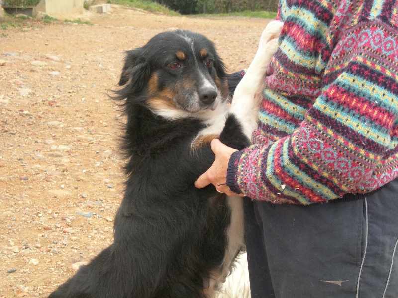 Publication : De la paix retrouvee