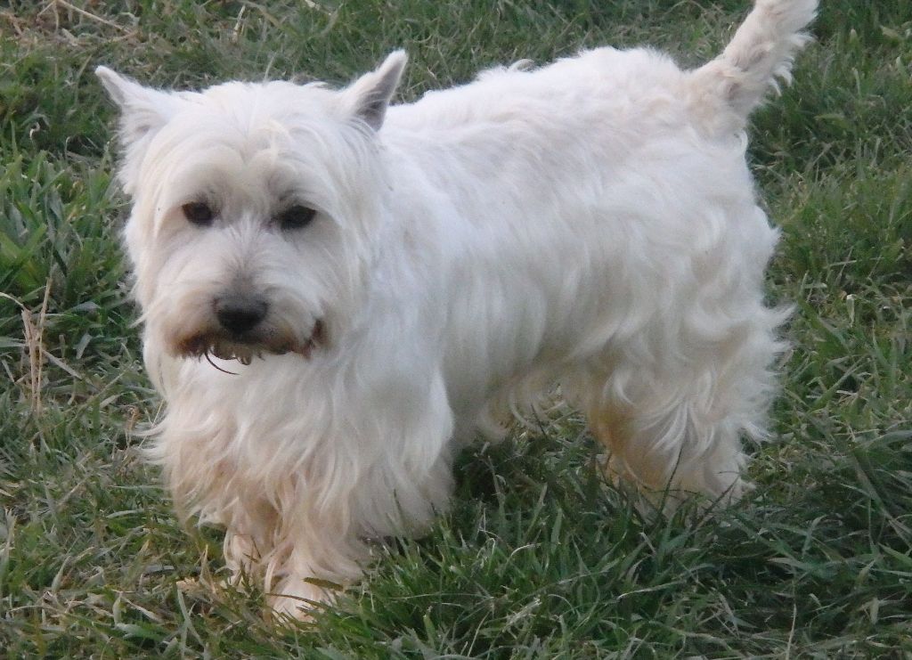 Publication : De la paix retrouvee