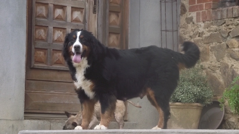 Publication : De la paix retrouvee