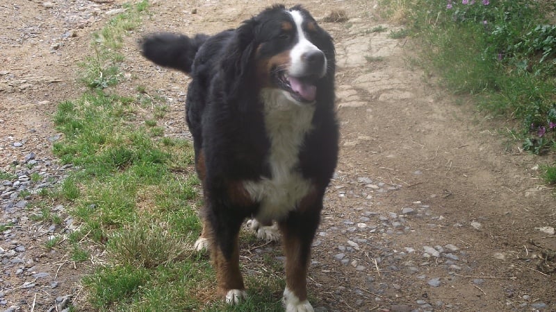 Publication : De la paix retrouvee