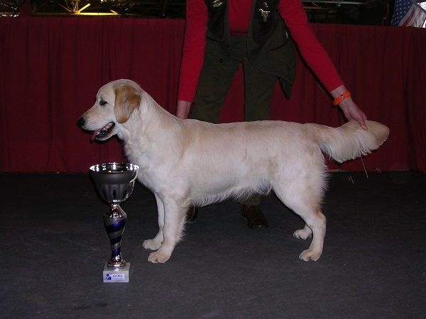 Jingle bells de Hareswith - 1er Excellent,