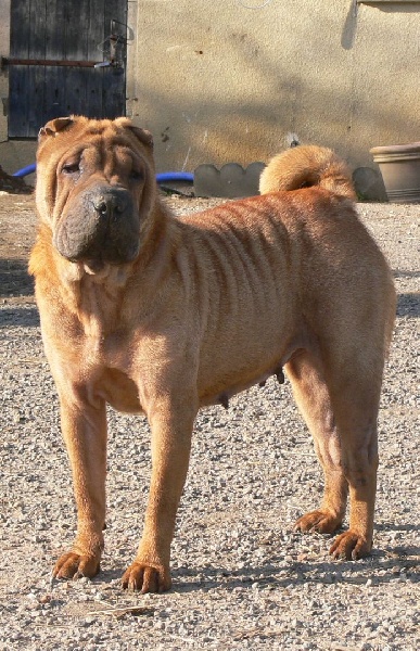 Publication : de la Rivière Sereine Auteur : rivière sereine