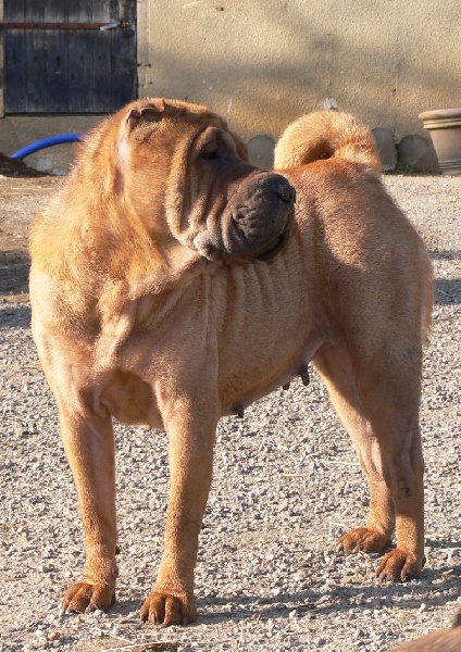 Publication : de la Rivière Sereine Auteur : rivière sereine