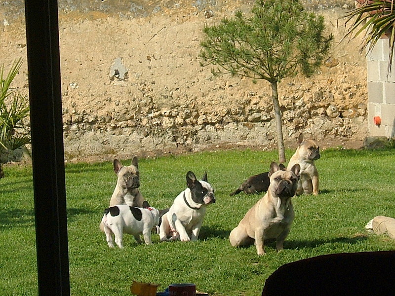 Publication : du Logis de la Caillaudie