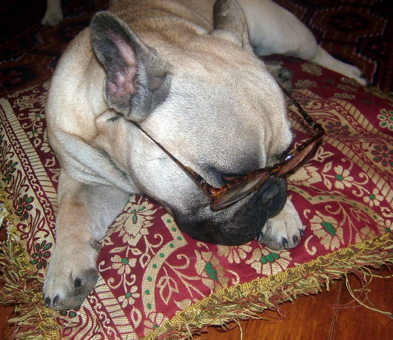 Publication : du Logis de la Caillaudie