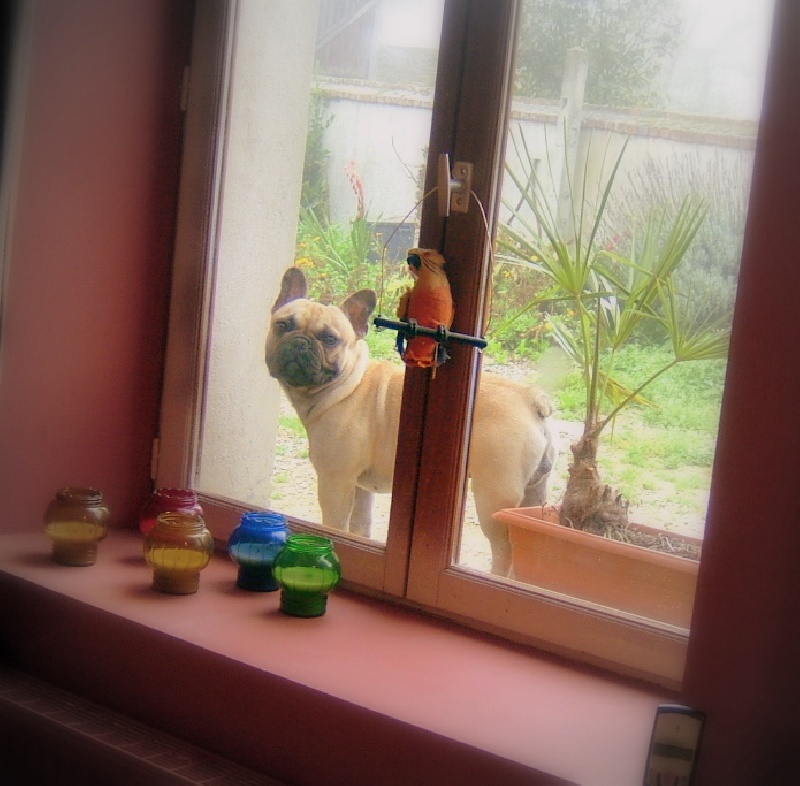 Publication : du Logis de la Caillaudie