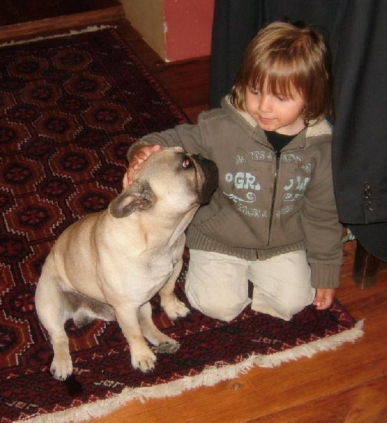 Publication : du Logis de la Caillaudie