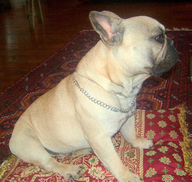 Publication : du Logis de la Caillaudie