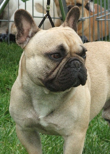 Publication : du Logis de la Caillaudie