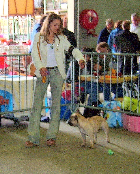 Publication : du Logis de la Caillaudie