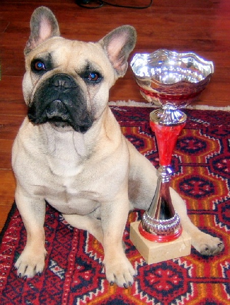 Barron des domaines du Tryskell - 1er EXCELLENT