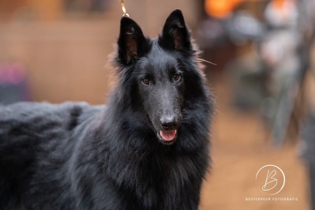 Astro De La Vallee De L'aixette