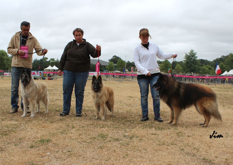 Publication : des Loups de la Tiarde Auteur : Brigitte BOISSE