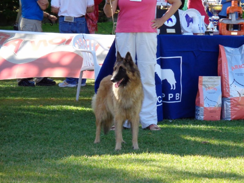 Publication : des Loups de la Tiarde Auteur : brigitte BOISSE