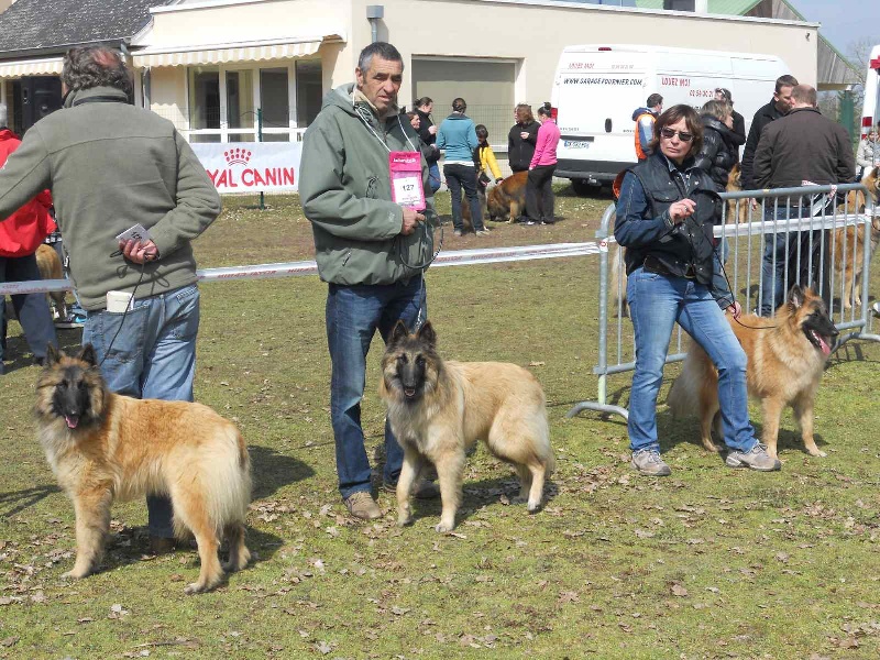 Publication : des Loups de la Tiarde Auteur : Brigitte BOISSE