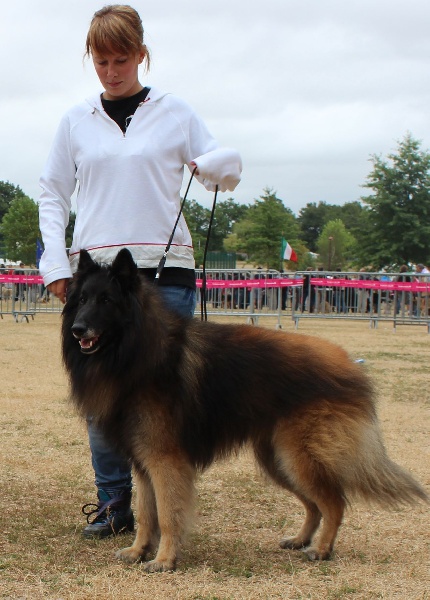 Publication : des Loups de la Tiarde Auteur : Brigitte BOISSE