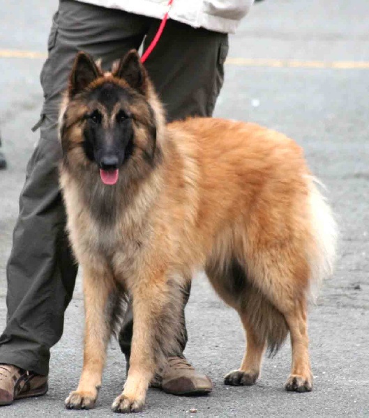 Efi royale du Parc de la Mouline - 3ème exc COM