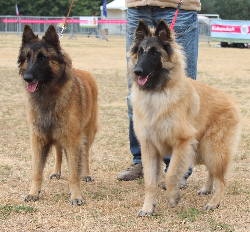 Efi royale du Parc de la Mouline - 17ème excellent - RECOMMANDATION