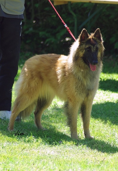 Efi royale du Parc de la Mouline - CSAU + TAN SIMPLE