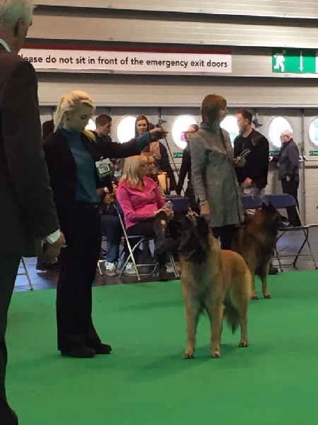 CH. Hindia's dream du Parc de la Mouline - non classée