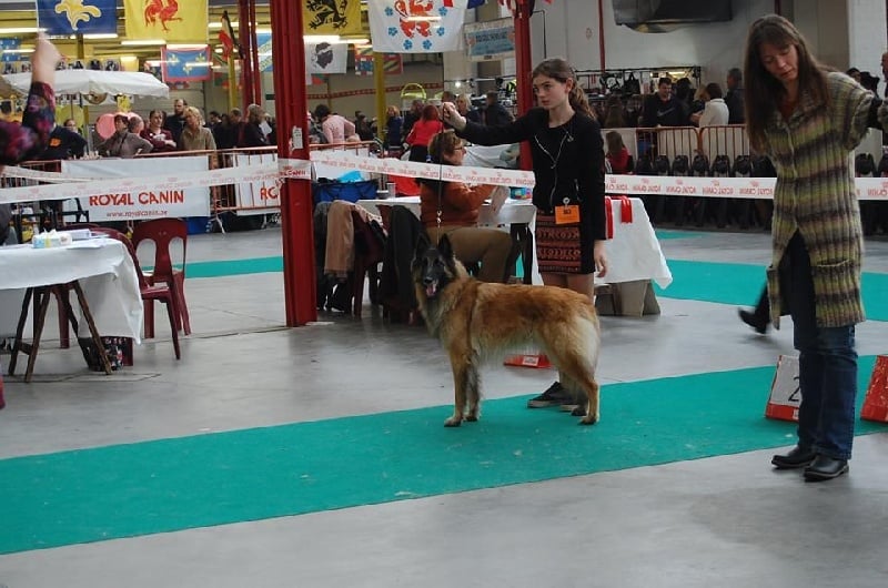 CH. Hindia's dream du Parc de la Mouline - 1ère exc COF BOS CACIB-CAC