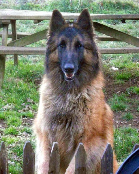 Efi royale du Parc de la Mouline - 2ème EXCELLENTE RCR