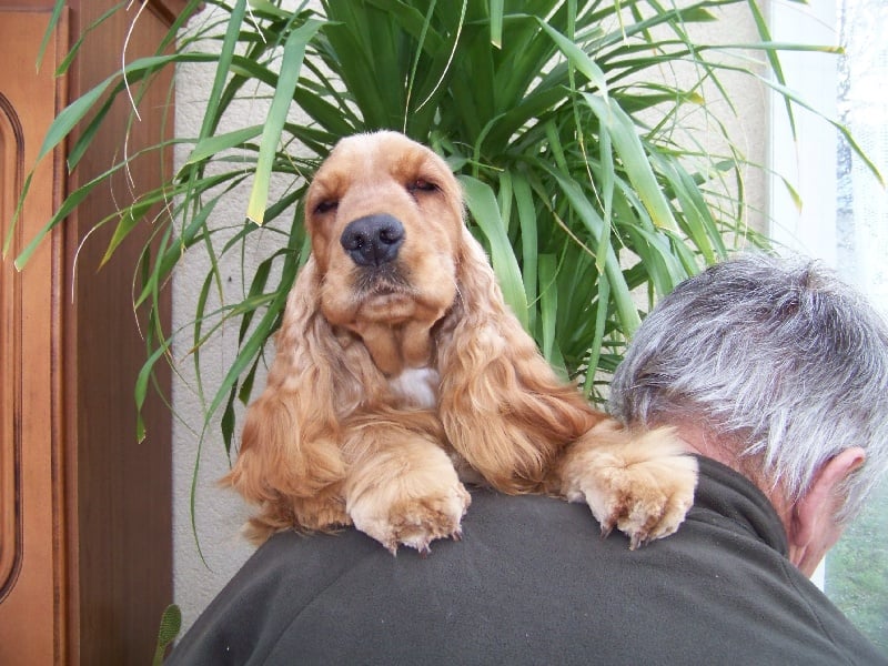 Publication : des deux Camelias Auteur : marie cottebrune