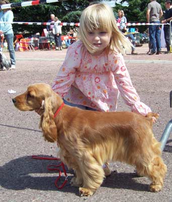 Publication : des deux Camelias Auteur : marie cottebrune