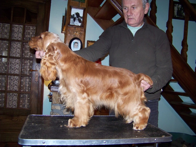 Publication : des deux Camelias Auteur : marie cottebrune