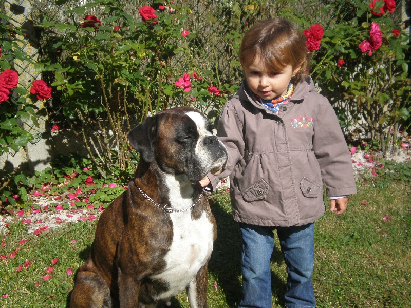 Publication : de Kerweleck