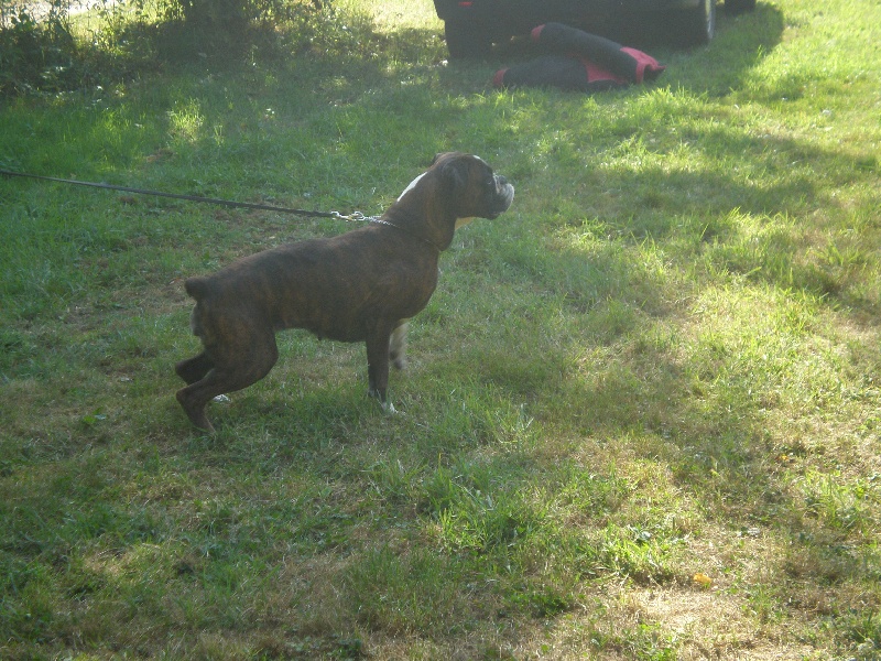 Publication : de Kerweleck