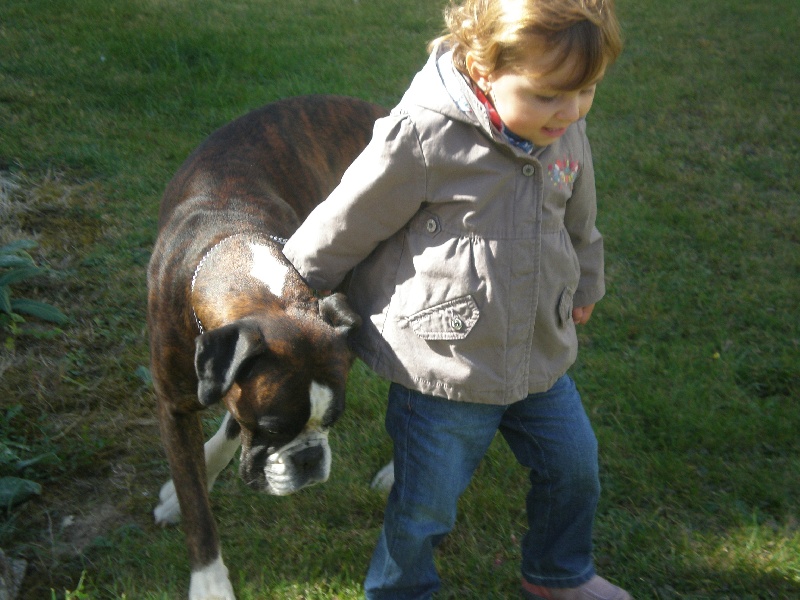 Publication : de Kerweleck