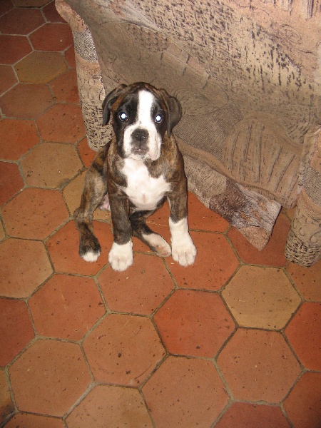 Publication : de Kerweleck