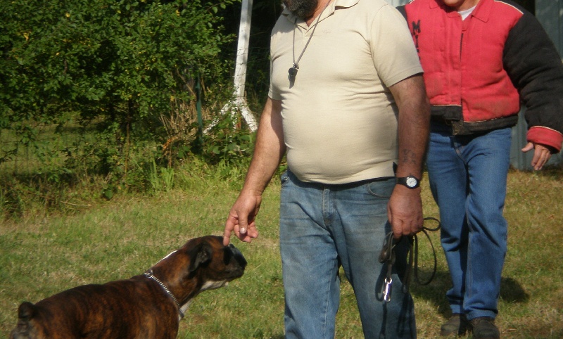 Publication : de Kerweleck