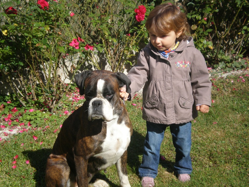 Publication : de Kerweleck