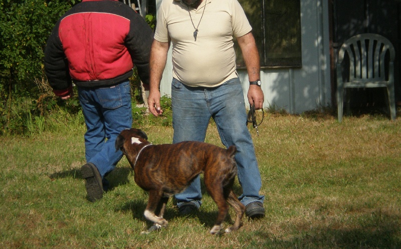 Publication : de Kerweleck