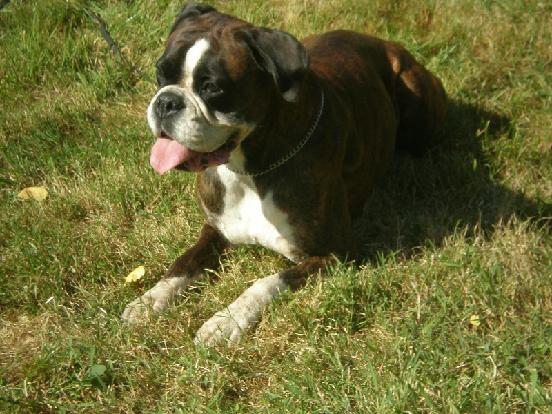 Publication : de Kerweleck