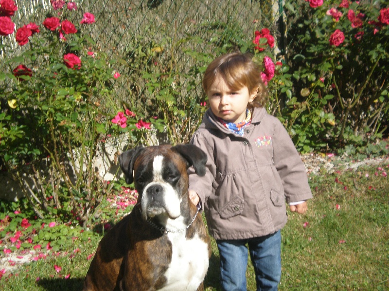 Publication : de Kerweleck