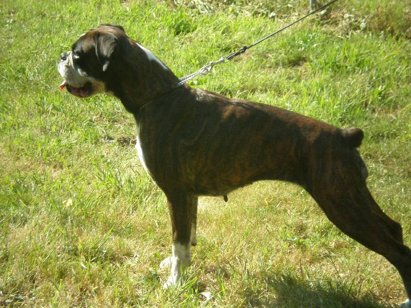 Publication : de Kerweleck