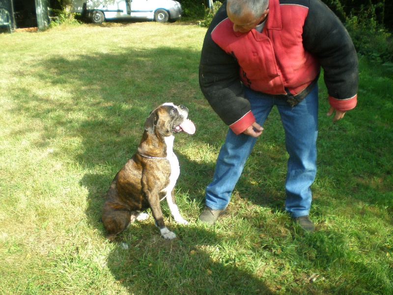 Publication : de Kerweleck